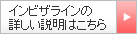 �C���r�U���C���̏ڂ��������͂�����